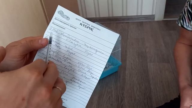 Шишка у хомяка (киста). смотреть онлайн