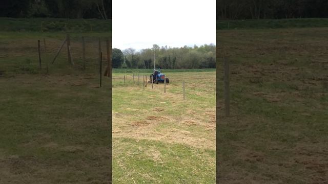 Running sweet topping the meadow смотреть онлайн