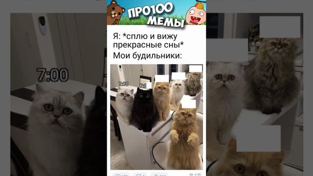 Мемы 2022 #мемы2022 #смешныекоты #мемы #приколы #юмор #мемыскотами #мемыдня #мемасы #про100мемы