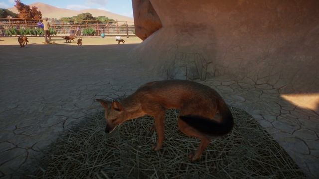 Planet Zoo (PC)(English) #104 7 Minutes of Ussuri Dholes (Southeast Asia DLC) смотреть онлайн