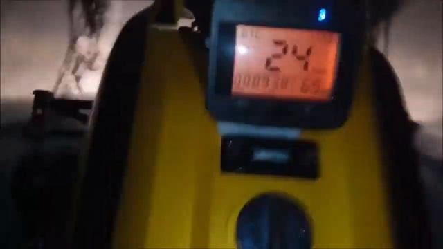 На Динго по полю)) смотреть онлайн