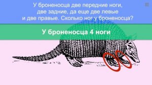 Загадки с подвохом - Тренируй мозги