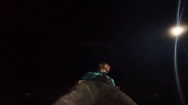 Баламут и Обормот