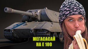 МЕГАСАСАЙ на Е 100 (Мир танков)