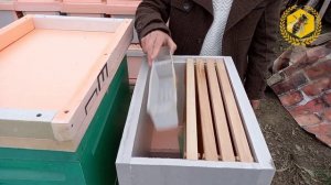 6 рамочный улей ЭППС, Пеноулик. Быстрое расширение пасеки.