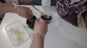 Эпизод 7: сажаем тыкву в пакет для рассады