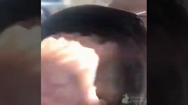 Ферментированные хлебцы из геркулеса смотреть онлайн