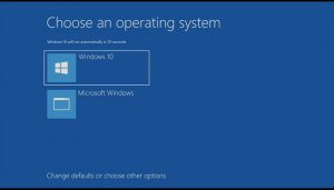 Windows 11 Choose an operating system