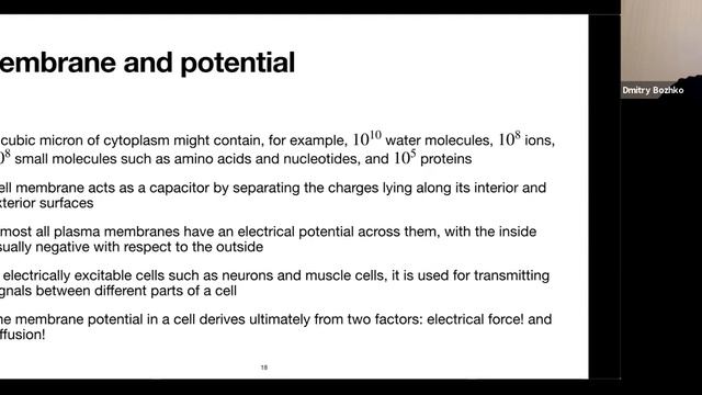 Lecture 3. Neuron physiology and biophysics (Computational Neuroscience Course) смотреть онлайн