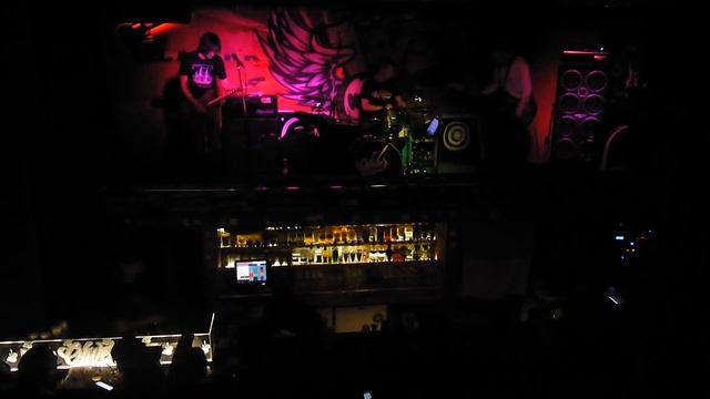 Радиопомехи LIVE - Привет, Приматы