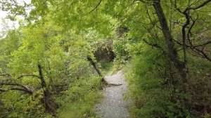 Туапсе.Кладбище домашних животных. Лестница на Кадош.