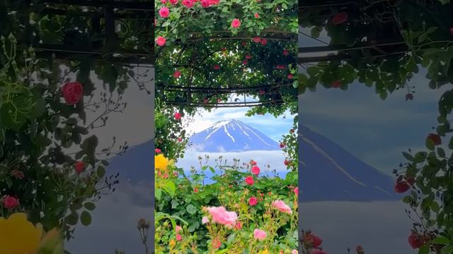 Природа такая красивая.

Это так чудесно ✨😊
#природа #любители природы #фотографияприроды
