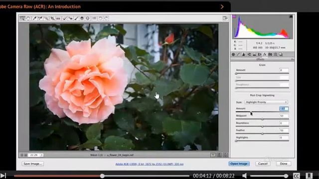 Camera Raw 4 Indepth Intro смотреть онлайн