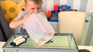 Короче говоря, УТОПИЛИ Чебурека! Марк и Папа - топим КАНЦЕЛЯРИЮ и ИГРУШКИ!