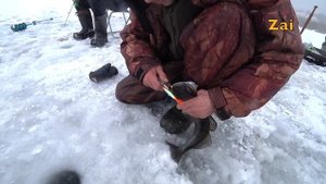 СУДАК НА БАЛАНСИР. РАЗМЕР ИМЕЕТ ЗНАЧЕНИЕ. Ну и небольшой тест на внимательность.