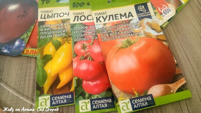 Новинки семян Томатов на 2022год смотреть онлайн