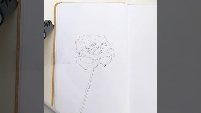 9/90 #челлендж Рисунок Розы 🌹получилось графично - поиски своего стиля дают первые результаты)