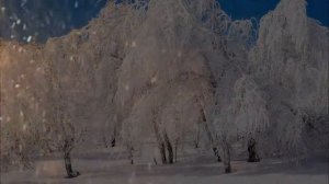 #93 Cover version "Золотая карусель", поет В.Рыбак