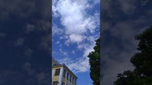 Последний звонок 1 школа Мичуринск