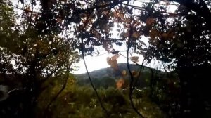 Вот это БАНЯ! Праздник  22 сентября в Центральном