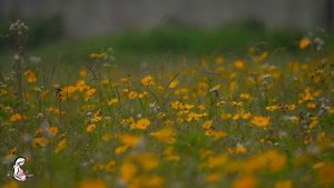 музыка для беременных заставит ребенка пинаться в утробе❤️расслабляющая музыка во время беременност