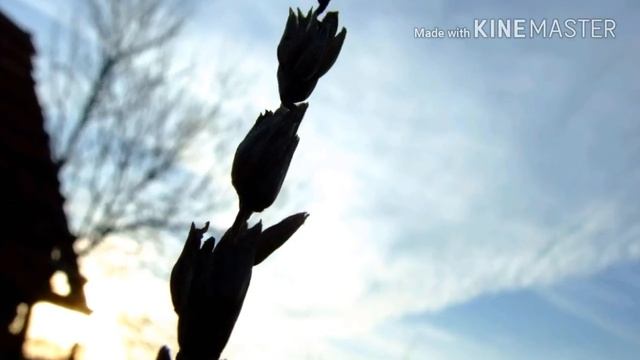 Cum face poze aparatul fujifilm finePix s6500 fd смотреть онлайн