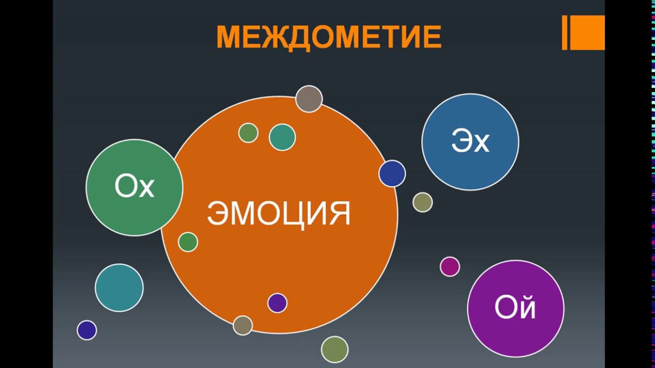 Морфология