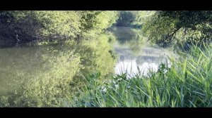 Музыка для глубокого сна и восстановления сил