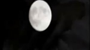 СЫЛА И БОРАН