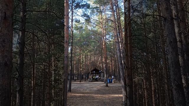 База отдыха Боровое. Отдых на природе)