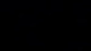 14 февраля 2017 г.