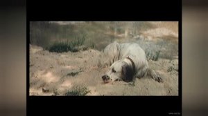 "Про Бима" сл.и муз Л Бутырин