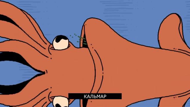 Реактивное движение в природе смотреть онлайн