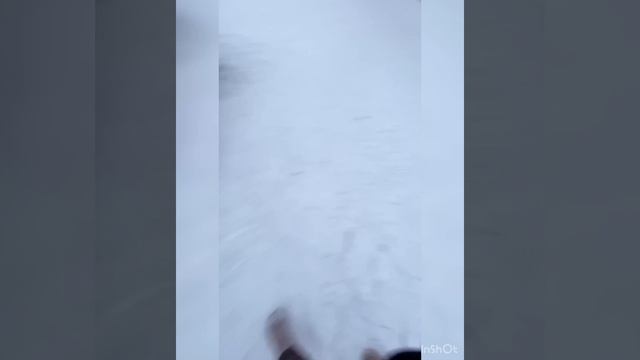 Шашлык-машлык ? отдых на природе! Семейный сбор. Родительский комитет. смотреть онлайн