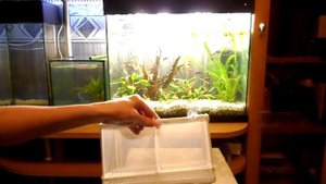 Отсадник для нереста  рыб