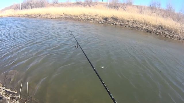 Весенний мормышинг 2019 Ловля ельца смотреть онлайн