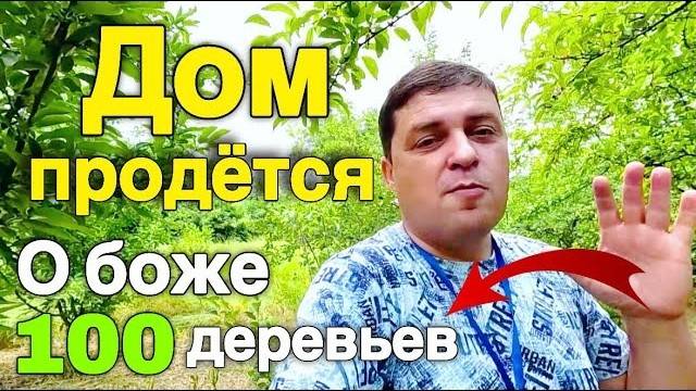 Главное достоинство этого дома, что на участке шикарный сад где более 100 деревьев. Дома на юге !