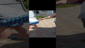 Виноград в Макеевке ДНР