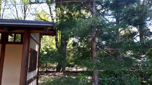 Японский сад. г. Вроцлав (Читаем описание) смотреть онлайн