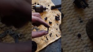 Как почистить стартер bmw e60 530d