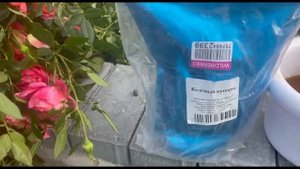 Обработка роз перед укрытием. Питомник растений Е. Иващенко