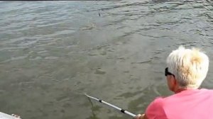 Рыбацкий хуторок  Вываживание карпа