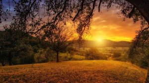 Почему на рассвете температура воздуха понижается?