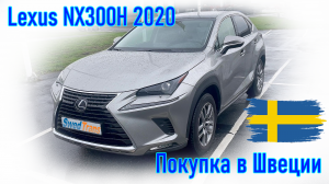 Покупка и пригон автомобиля из Европы (Швеции). Lexus NX300H 2020 г.в.