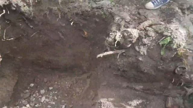 Правильная канализация для дома. Септик 5 поколения - станция биологической очистки стоков.