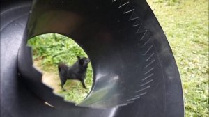 Радиальный отстойник для дачного пруда или УЗВ своими руками