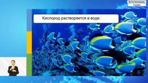 5-класс | Естествознание  | Вода ‒ растворитель. Органические вещества