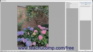 How to Use Filters and the Filter Gallery in Adobe Photoshop Elements 2023: A Training Tutorial