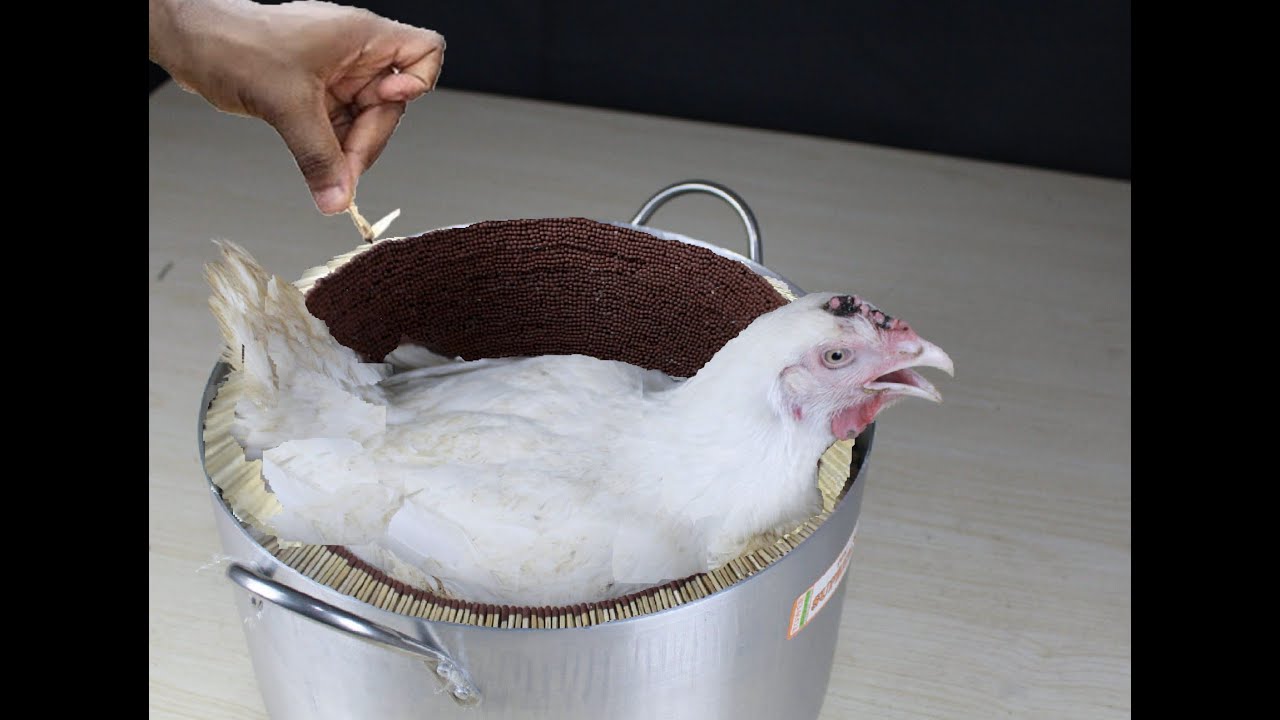 Эксперимент: Горшок с 1 000 000 спичечных палочек VS Цыпленок. Буси Мозг
