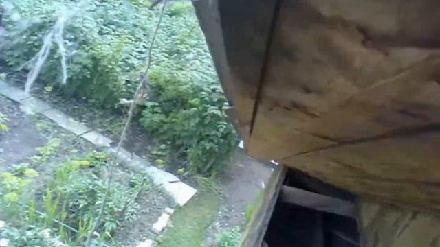 Летучая мышь смотреть онлайн